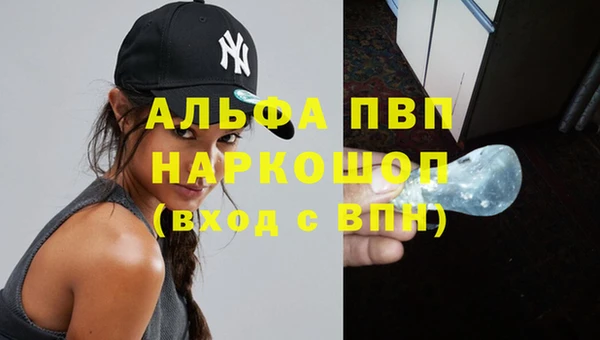 гашик Заволжск