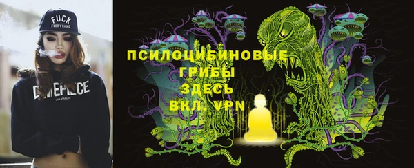 меф Заводоуковск