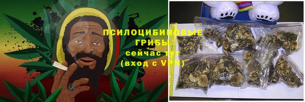 меф Заводоуковск