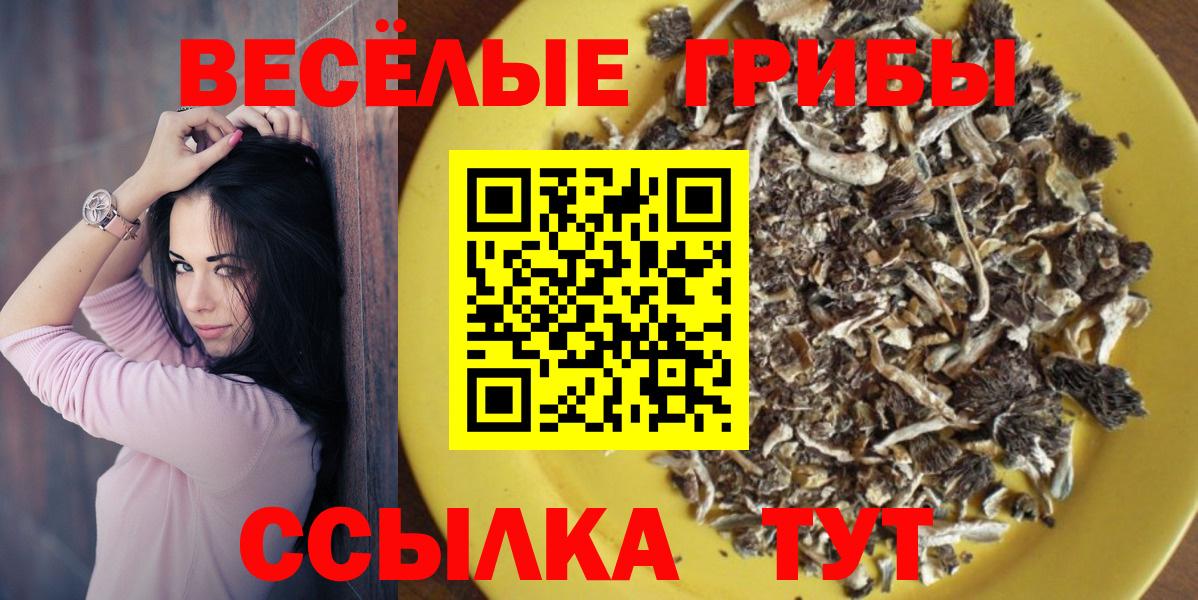 Псилоцибиновые грибы Psilocybine cubensis Солнечногорск
