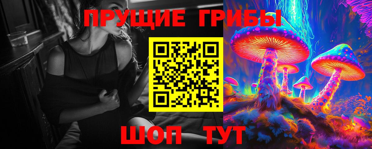 Псилоцибиновые грибы Psilocybine cubensis Солнечногорск