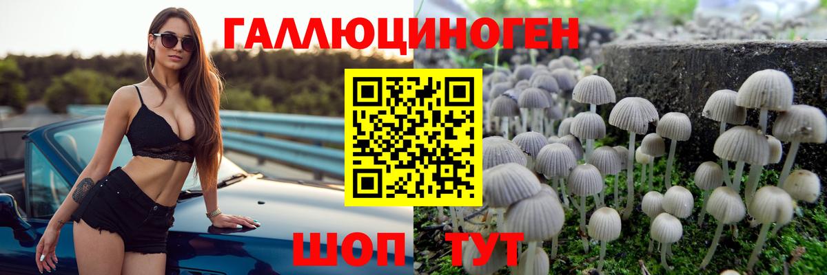 Галлюциногенные грибы ЛСД  Вход с VPN  Солнечногорск 