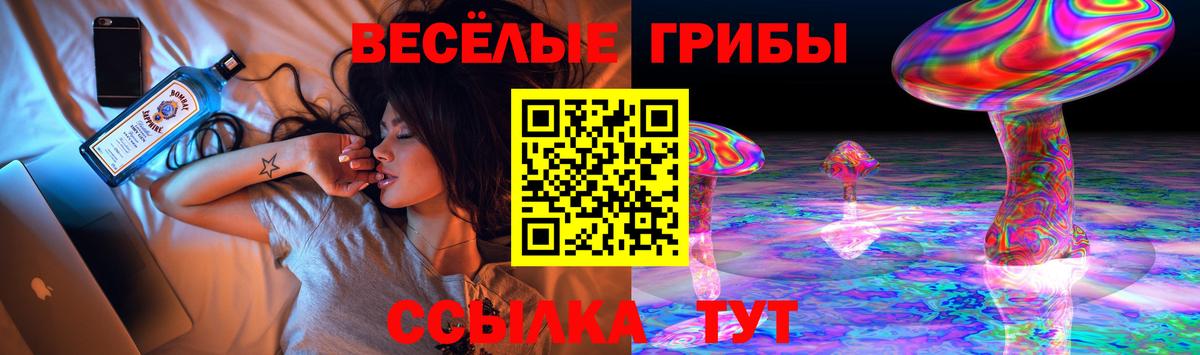 где купить наркотик  Солнечногорск  Галлюциногенные грибы Psilocybe 