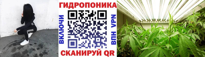 Шишки марихуана план  где можно купить   Солнечногорск 